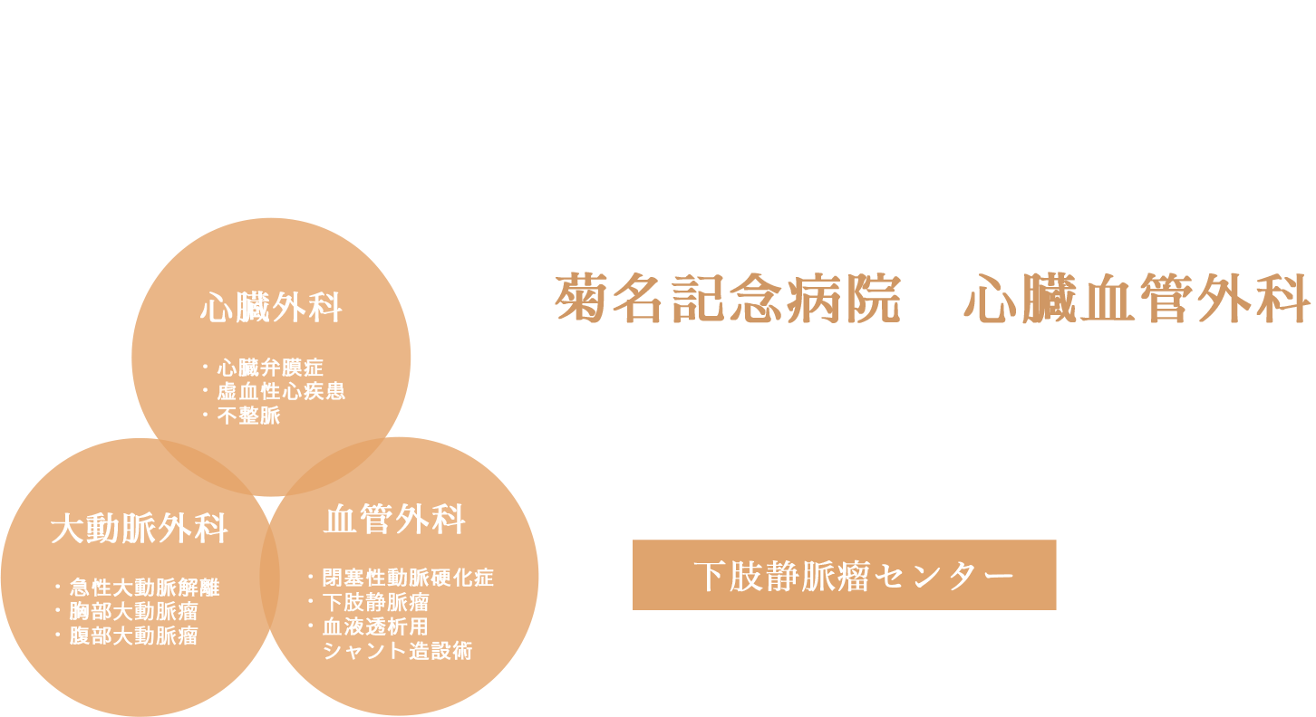 Cardiovascular Surgery kikuna Memorial Hospital